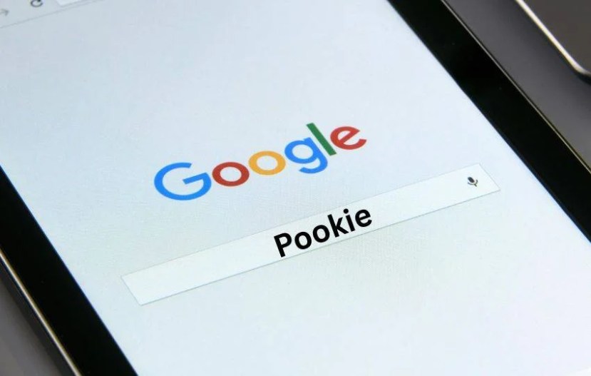  Pookie Meaning 