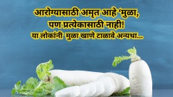 आरोग्यासाठी अमृत आहे ‘मुळा, पण प्रत्येकासाठी नाही! या लोकांनी मुळा खाणे टाळावे अन्यथा…