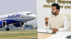 Indigo Flight: केंद्र सरकारचा इंडिगोला दणका, एकूण उड्डाणांमध्ये १० टक्क्यांची कपात करण्याचे आदेश