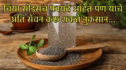 फिट राहण्यासाठी, वजन कमी करण्यासाठी चिया सीड्स खाताय का? मग प्रमाण ठरवून घ्या… अति सेवनाने होते असे नुकसान