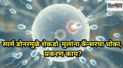 एका स्पर्म डोनरमुळे १४ देशांमधील १९७ मुलांना दुर्धर कॅन्सरचा धोका, काहींचा मृत्यू; नेमकं काय घडलं?