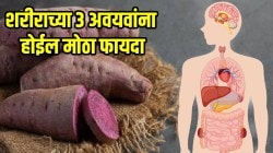 शरीराच्या ‘या’ ३ अवयवांना होईल मोठा फायदा; उपवासालाच नाही तर रोजच्या जेवणातही रताळी खा