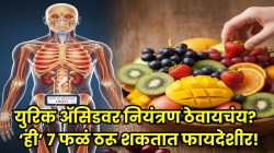 थंडीत युरिक अ‍ॅसिडचा धोका वाढलाय? फक्त १० ते २० रुपयांत मिळणारी ‘ही’ ७ फळं खा, हाडांतील युरिक अ‍ॅसिड, सांधेदुखी व संधिवात होऊ शकतो दूर