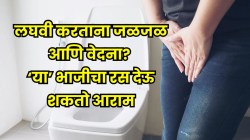 थांबून थांबून लघवी होते? लघवीच्या जागी जळजळ होते? १० रुपयांत मिळणाऱ्या ‘या’ भाजीचा रस प्या; मिळू शकते आराम, आचार्य बालकृष्णांनी सांगितली योग्य सेवन पद्धत