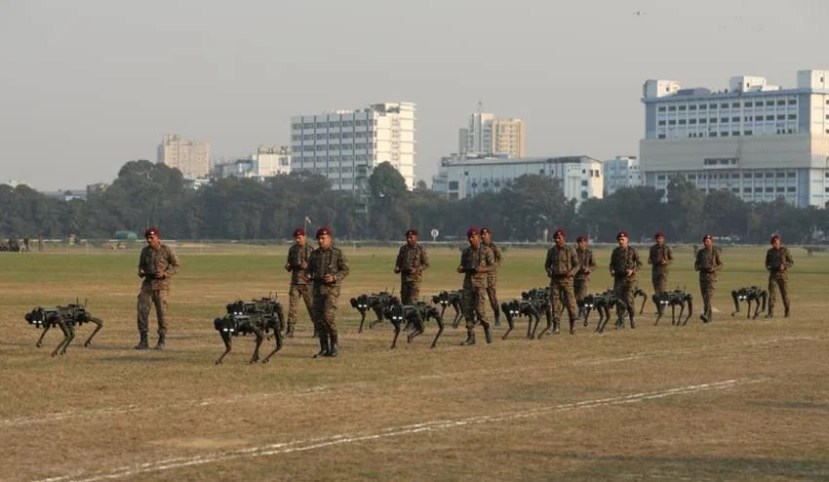 Vijay Diwas celebration