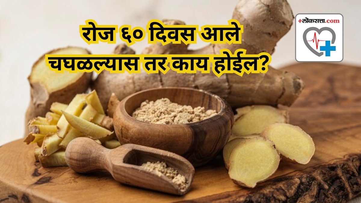 What happens to the body when you chew ginger daily for 60 days