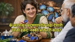 Priyanka Gandhi Blue Turmeric: निळी हळद? पंतप्रधान नरेंद्र मोदींनाही पडला प्रश्न; खासदार प्रियंका गांधींनी दिलं उत्तर!