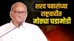 Prashant Jagtap : राष्ट्रवादीत मोठ्या घडामोडी, शरद पवारांवर बडा नेता नाराज? राजीनाम्याच्या चर्चांवर दिली ‘ही’ प्रतिक्रिया; म्हणाले…