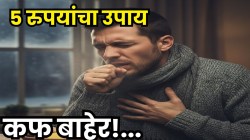 खोकला होईल कमी, घशात साचलेला सगळा कफ निघून जाईल! ५ रुपयांच्या ‘या’ पदार्थाचा रस प्या; आचार्य बालकृष्णांचा प्रभावी घरगुती उपाय