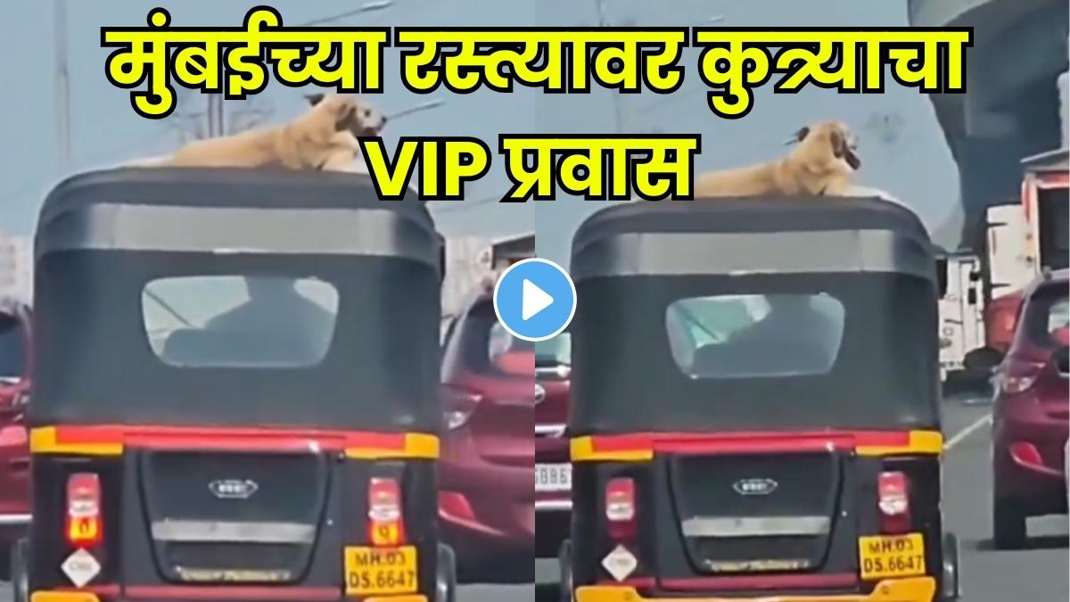 Dogesh Bhai enjoying a VIP ride on an auto roof in Mumbai