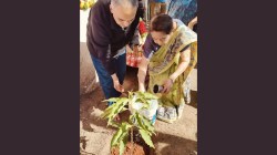 डॉ. बाबा आढाव यांच्या अस्थीतून सोनचाफा फुलणार !