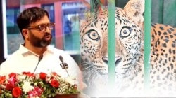 भटके कुत्रे आणि बिबट्यांच्या दहशतीबद्दल विधानसभेत चिंता; प्राणीमित्रांच्या घरी कुत्री सोडण्याची सूचना