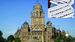 BMC : प्रारूप मतदार यादीतील चुका पडताळणीसाठी पालिका कर्मचारी आजपासून घरोघरी फिरणार