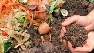biofertilizer