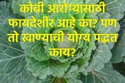 कोबीचे आरोग्यासाठी फायदे तर आहेत, पण लोक कोबी खाणं का टाळतात? कोबी खाताना काय काळजी घ्यावी?