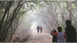 Cold Wave : पुण्यासह अनेक ठिकाणी तापमान एक अंकी… थंडीचा कडाका आणखी तीव्र?