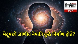 consciousness-brain