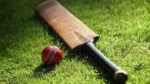 cricket bat