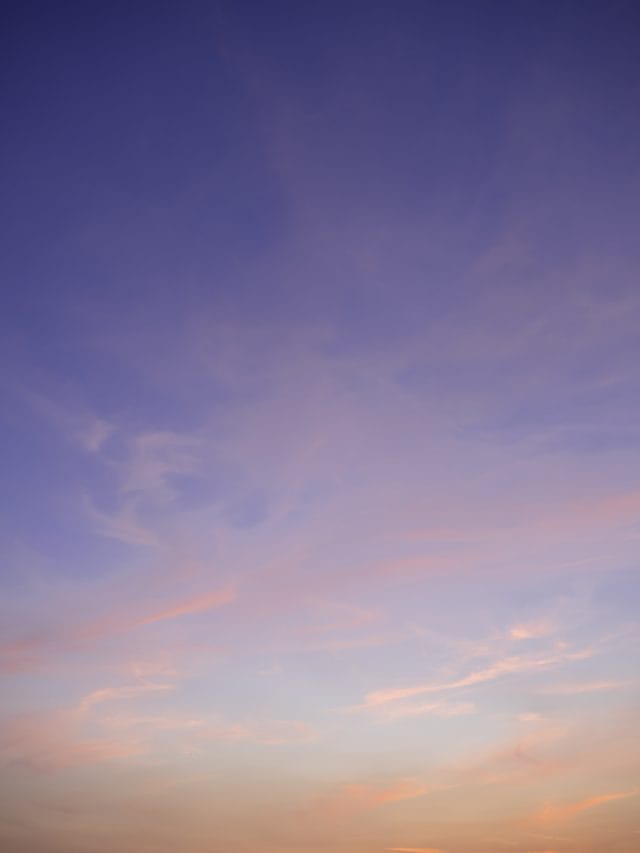 Horoscope Today Friday 19 December 2025