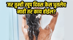 जर तुम्ही खूप दिवस केस धुतलेच नाही तर काय होईल? डॉक्टरांनी दिलेली माहिती वाचून बसेल धक्का…