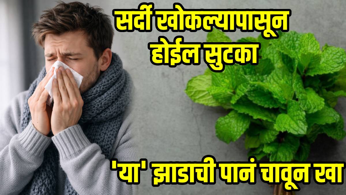 eating-Tulsi-Leaves-benefits