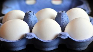 egg price winter India, egg supply shortage, affordable protein source, winter egg demand increase, India egg production stats, wholesale egg rates India, egg consumption, poultry feed cost, Maharashtra egg market,