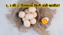 अंडी आहे प्रथिनांचा शक्तिशाली स्रोत! एका दिवसात किती अंडी खाणे सुरक्षित? जाणून घ्या तज्ज्ञांचा सल्ला