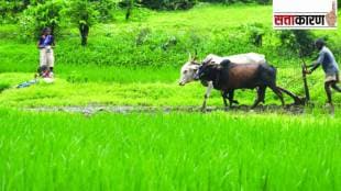 farmers financial support Maharashtra