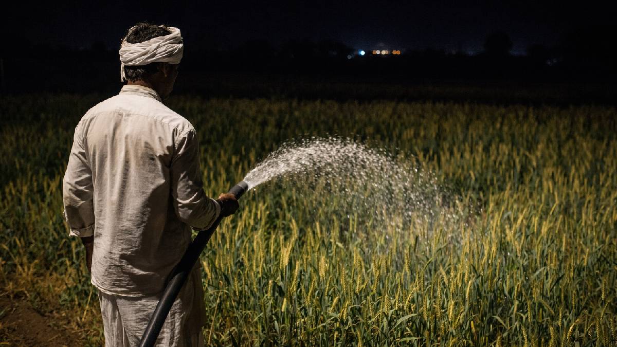 Even though water and electricity are available during the day, it is the farmers' turn to go to the fields at night