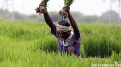 प्राथमिक सेवा सोसायट्यांची कर्ज वितरण प्रक्रिया आणखी सुलभ ? केंद्र सरकारच्या या योजनेचा झाला लाभ; राज्याच्या कामगिरीचे कौतुक