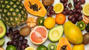 fruits