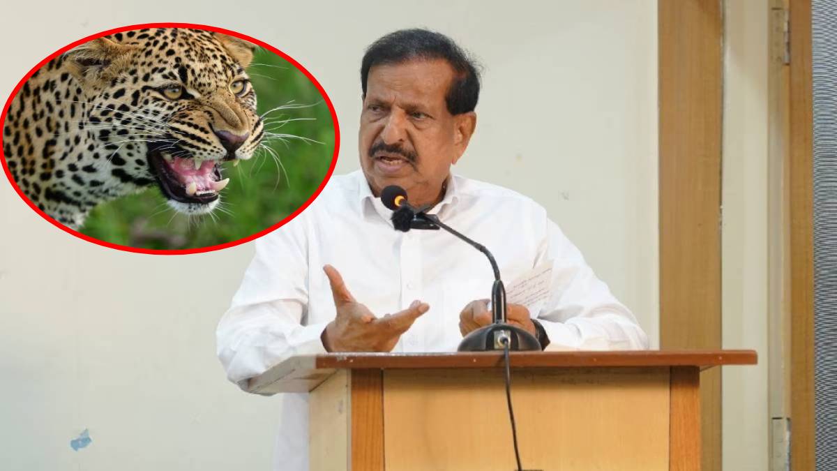 ganesh naik on human leopard conflict