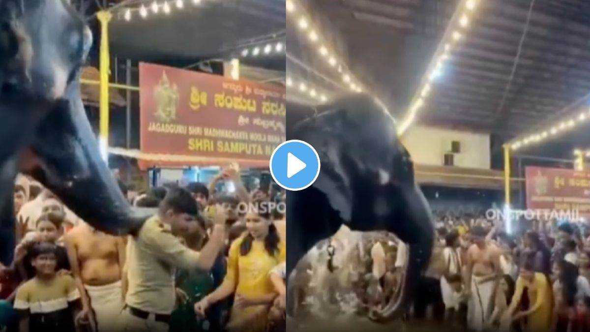 A temple elephant gently pushing a police officer away during the sacred ritual.