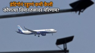 indigo-flights-curtailment