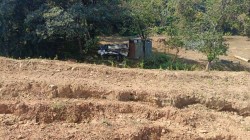 सावंतवाडी: माजगाव लघु पाटबंधारे प्रकल्पाला ‘वन’ विभागाचा अडसर; ठेकेदाराची बिले थकीत, काम धीम्या गतीने