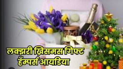 २०२५च्या ख्रिसमससाठी टॉप ८ गिफ्ट हॅम्पर्स! कुटुंब, मित्र आणि सहकाऱ्यांना द्या, ठरेल बेस्ट सरप्राईज