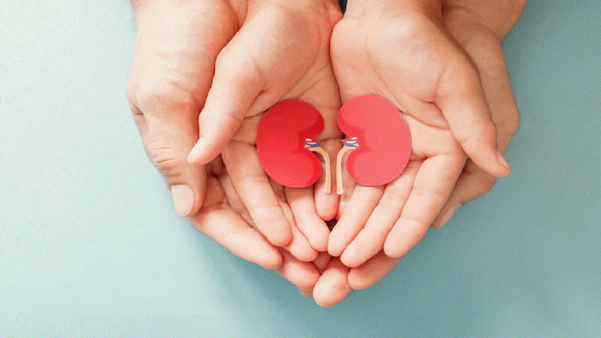 Haryana kidney donor community