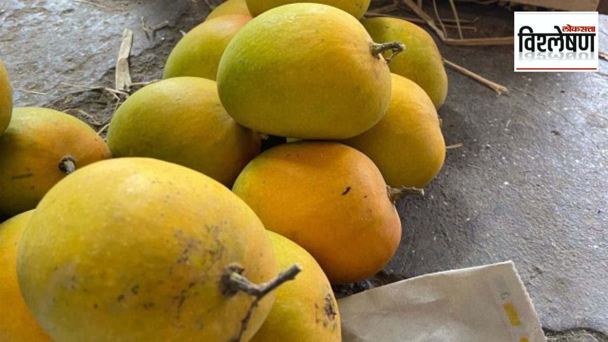 geographical indication india  kokan hapus GI dispute