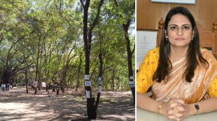 tapovan tree felling case green tribunal issues interim order