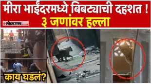 Leopard terror in Mira-Bhayander 3 people attacked