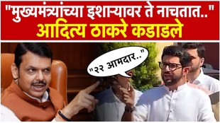 Aditya Thackeray criticized the government on the first day of the winter session