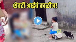 आईसाठी सगळी मुलं सारखीच! गाडीवर बसण्यासाठी श्वानाच्या पिल्लाची धडपड; मग आईने केला असा जुगाड की… VIDEO पाहून तुम्हीही कौतुक कराल