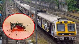 Chikungunya outbreak along railway tracks