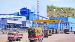 साखर कारखान्यांना आयुक्तांचा दणका; &#8230;या कारखान्यांना १५ टक्के व्याजासह थकीत एफआरपी देण्याचे आदेश