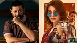 स्वप्नील जोशीचा थ्रिलर-कॉमेडी गुजराती चित्रपट ओटीटीवर रिलीज, कुठे पाहाल? वाचा…