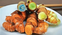 हळद पिवळी, पांढरी, हिरवी, निळ्या रंगाचीही