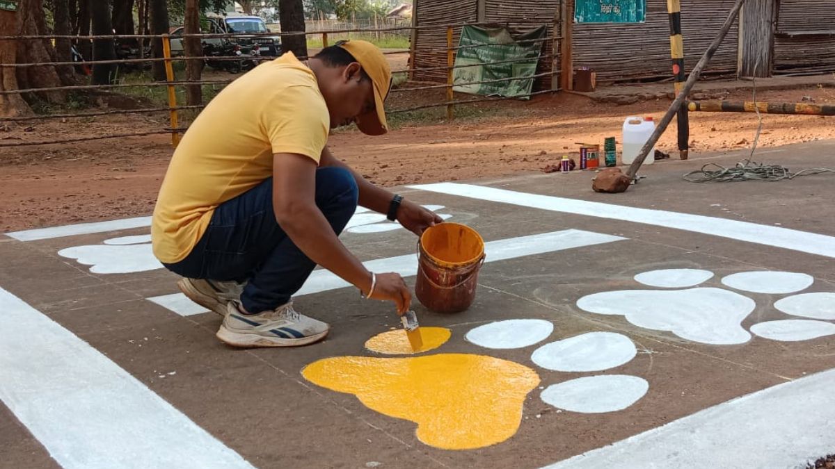 tiger-paw-crossing-initiative-maharashtra-tiger-reserves