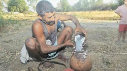 ताडीतील विषारी भेसळ आता चुटकीसरशी ओळखा ! राष्ट्रीय रासायनिक प्रयोगशाळेकडून जलद तपासणी किट विकसित