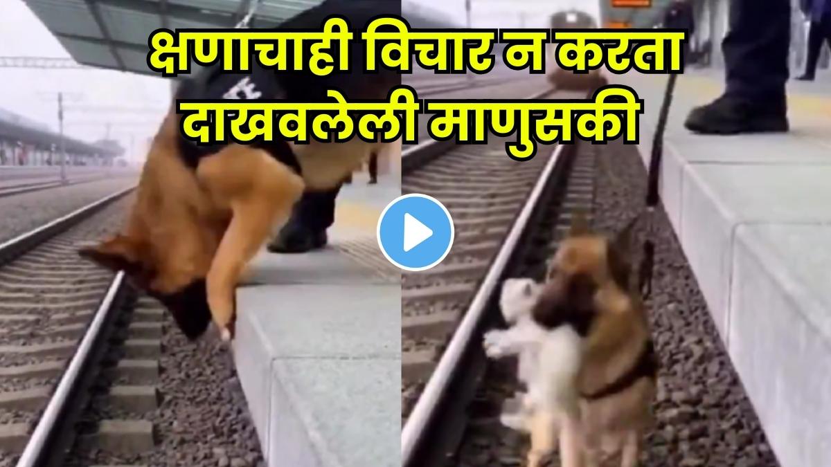 A dog risks its life to save a puppy on a railway track