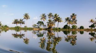 vembanad lake